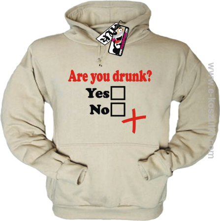 Are You Drunk - bluza męska z kapturem