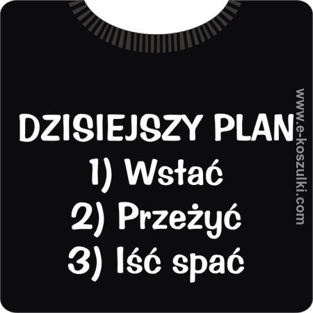 Dzisiejszy Plan Wstać - Przeżyć - Iść Spać - koszulka męska