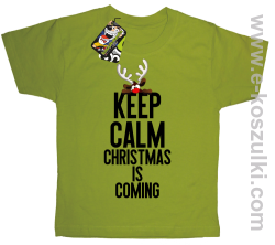 Keep calm christmas is coming kiwi