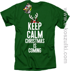 Keep calm christmas is coming zielony