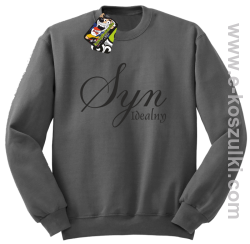 Syn idealny - bluza bez kaptura szara