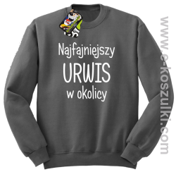 Najfajniejszy urwis w okolicy - bluza bez kaptura szara