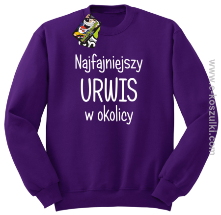 Najfajniejszy urwis w okolicy - bluza bez kaptura